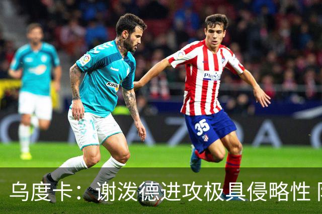 乌度卡：谢泼德进攻极具侵略性 防守端的积极性和传球都很棒