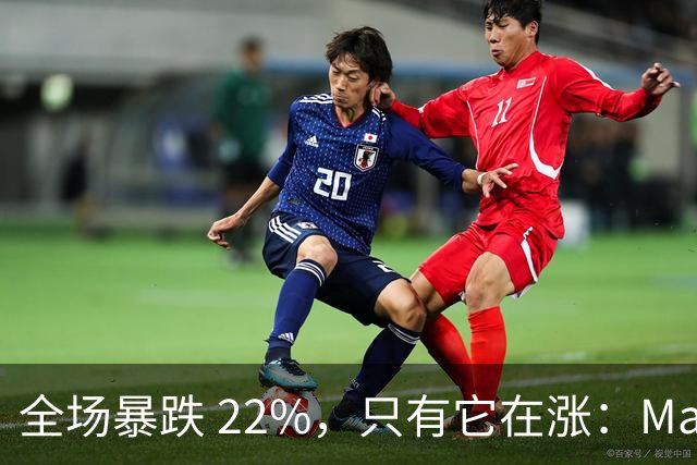 全场暴跌 22%，只有它在涨：Mate 80 的 900 万台是谁买的？