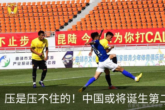 压是压不住的！中国或将诞生第二个华为