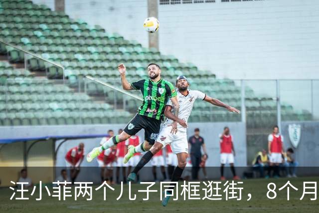 汪小菲两个儿子同框逛街，8个月小儿子壮实可爱，10岁霖霖1米6多了！