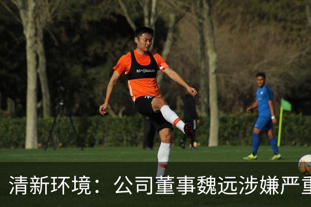 清新环境：公司董事魏远涉嫌严重违纪违法，正接受纪律审查和监察调查
