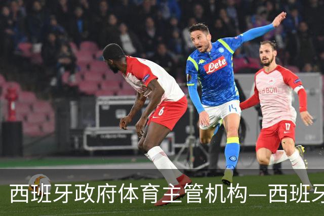 西班牙政府体育主管机构—西班牙体育理事会主席公开要求西甲主席特瓦斯，向皇马道歉